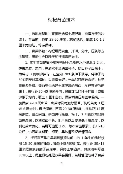 枸杞育苗技术