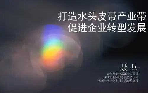 温州电商转型(产业带)-聂兵