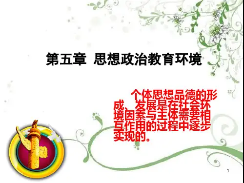 思想政治教育环境ppt课件
