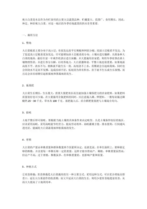 北方秋大白菜高产栽培方法