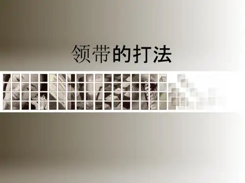 领带打法图解大全