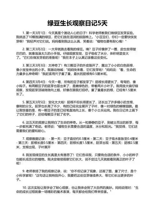 绿豆生长观察日记5天