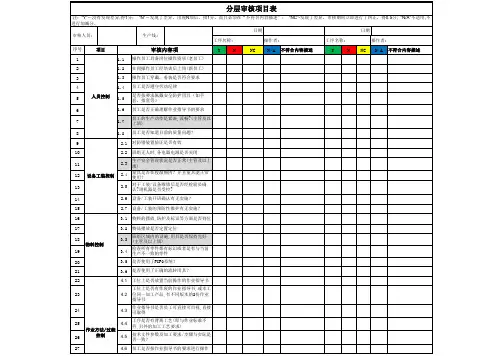 分层审核表格