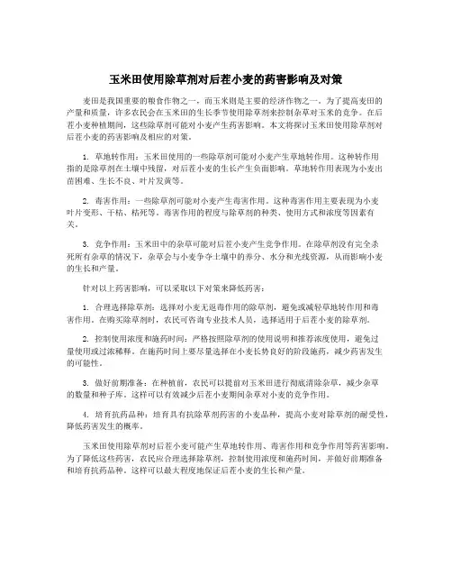 玉米田使用除草剂对后茬小麦的药害影响及对策