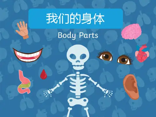 Unit+3+Look+at+me+猜身体部位游戏(课件)人教PEP版英语三年级上册
