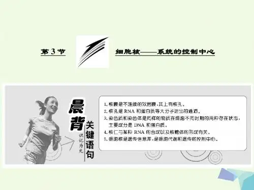 高中生物 第3章 细胞的基本结构 第3节 细胞核系统的控制中心课件 新人教版必修