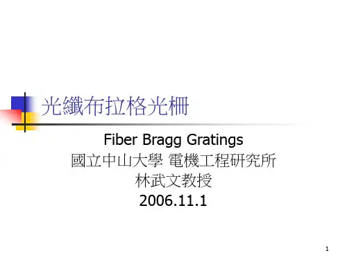 光纤布拉格光栅