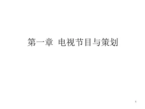 第一二章-电视节目策划与定位要点课件