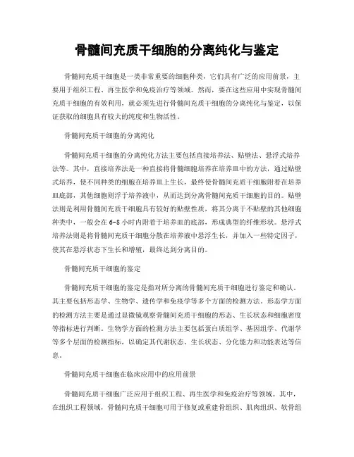 骨髓间充质干细胞的分离纯化与鉴定
