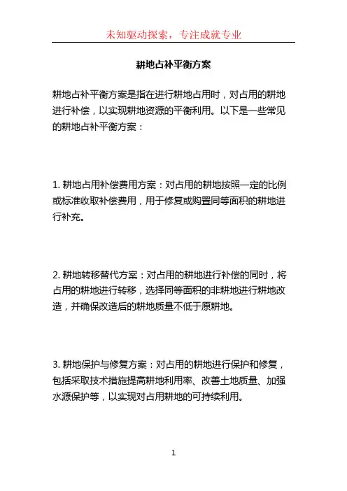耕地占补平衡方案 (2)