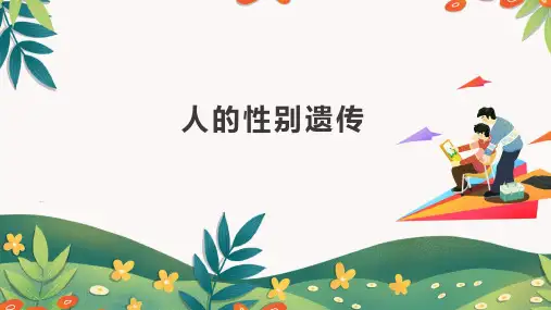 全国优质课一等奖人教版八年级生物下册《人的性别遗传》公开课课件