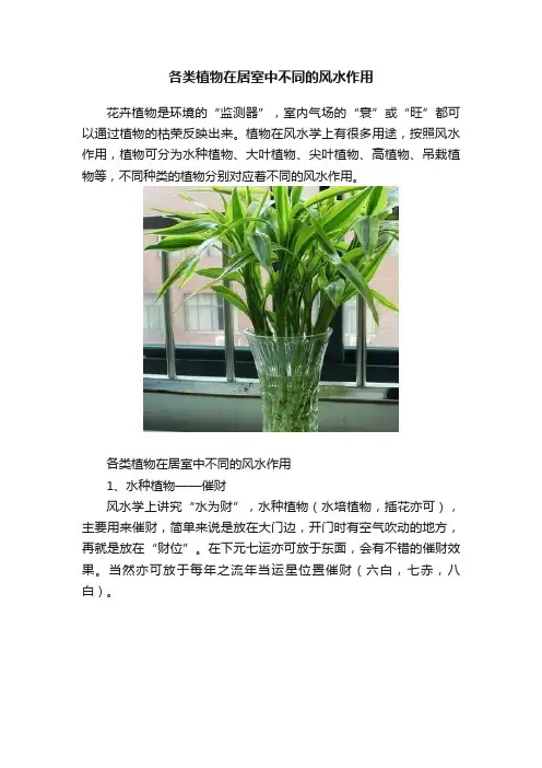 各类植物在居室中不同的风水作用