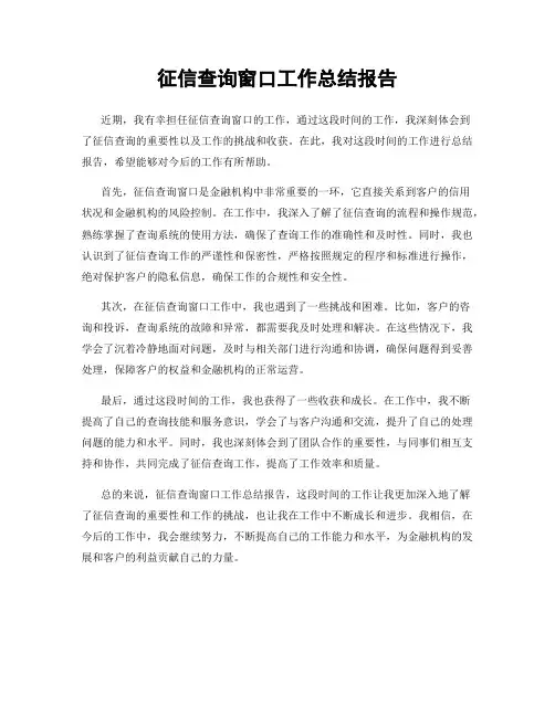 征信查询窗口工作总结报告