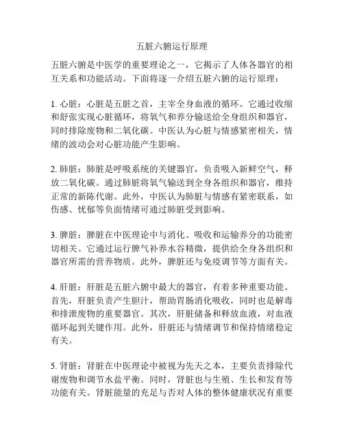 五脏六腑运行原理
