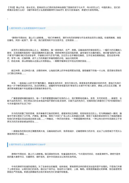 缅怀革命烈士弘扬爱国精神作文800字5篇