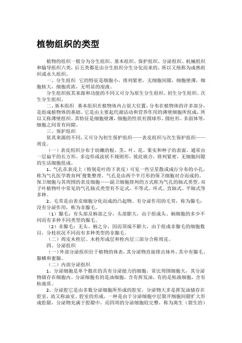 植物组织的类型