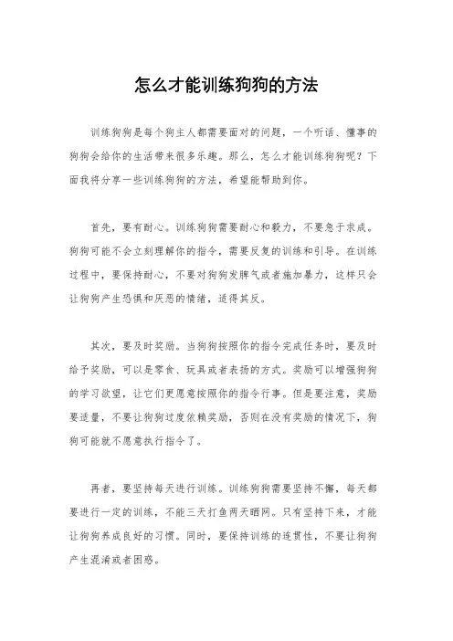 怎么才能训练狗狗的方法