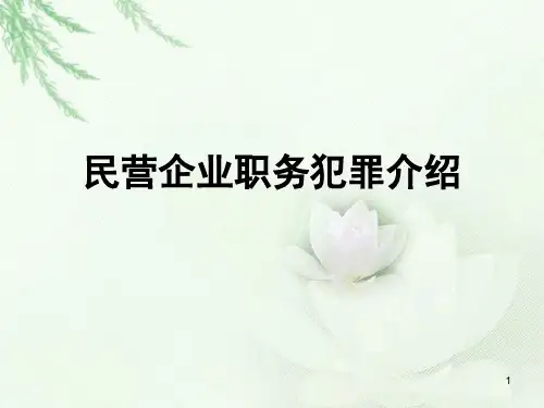 民营企业职务犯罪介绍ppt课件