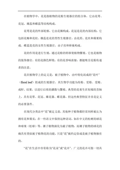 植物学中花的定义
