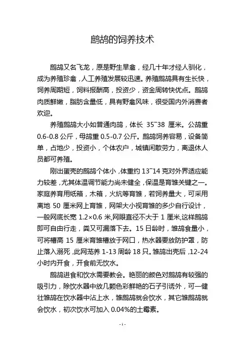 鹧鸪的饲养技术