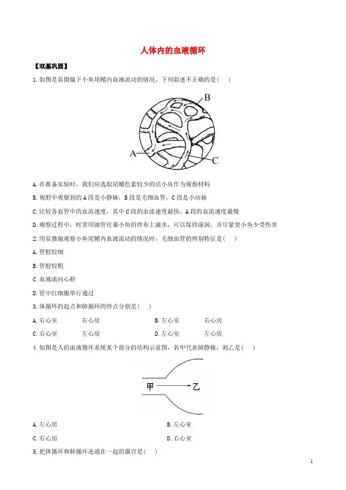 七年级生物下册 4.10.2 人体内的血液循环课时达标练习(含解析)(新版)苏教版