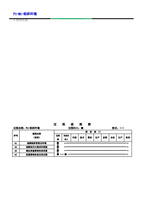 IATF16949-2016过程分析乌龟图