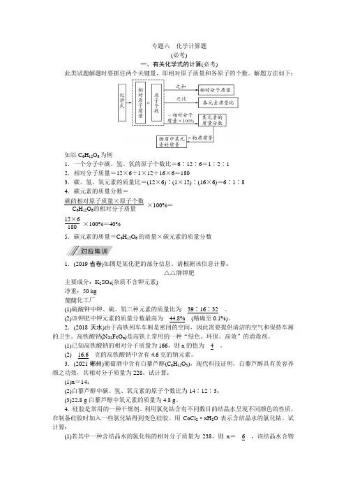 专题六 化学计算题