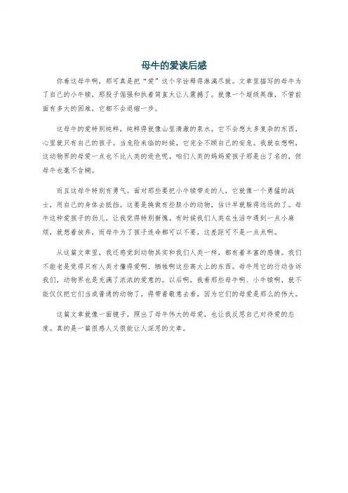 母牛的爱读后感