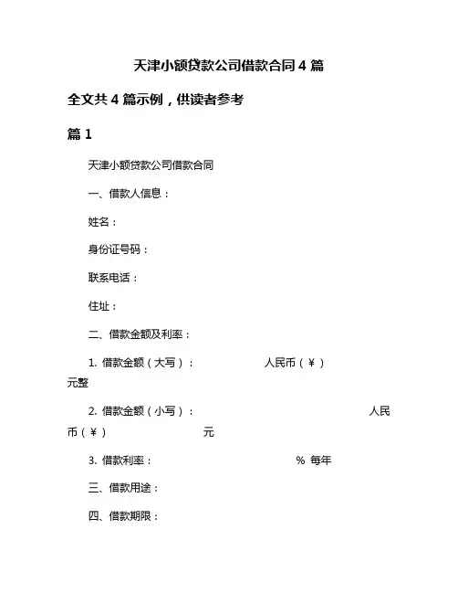 天津小额贷款公司借款合同4篇