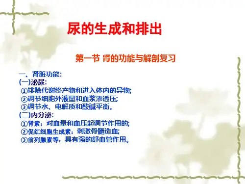 血浆胶体渗透压↓滤过率