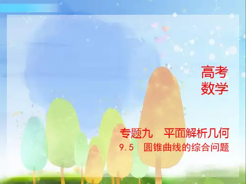 2024年新高考版数学专题1_9.5 圆锥曲线的综合问题(分层集训)