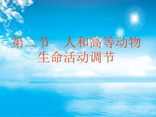 体液调节PPT教学课件