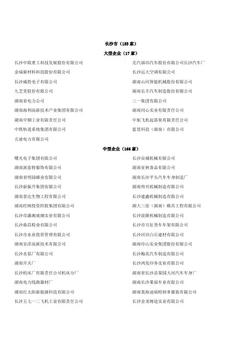 湖南省大中型工业企业名单
