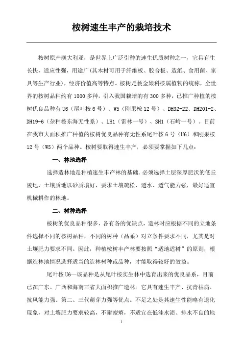 桉树速生丰产的栽培技术