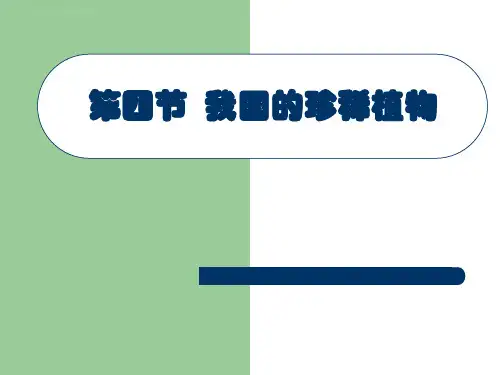 我国的珍稀植物ppt课件120张冀教版七年级上