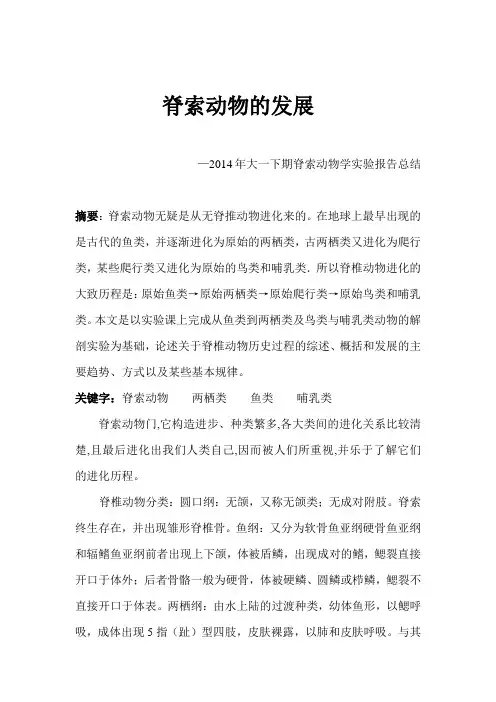 脊索动物发展史