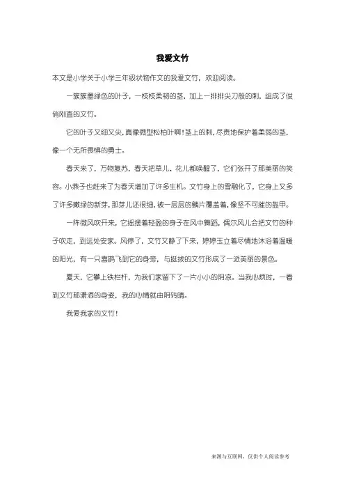 小学三年级状物作文：我爱文竹