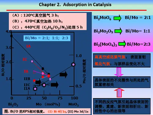 实用催化第二版Chapter22