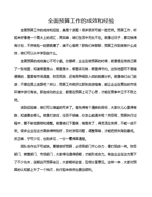全面预算工作的成效和经验