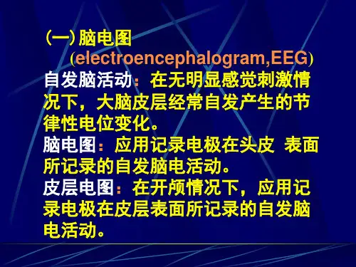 第十第六觉醒睡眠与脑电活动