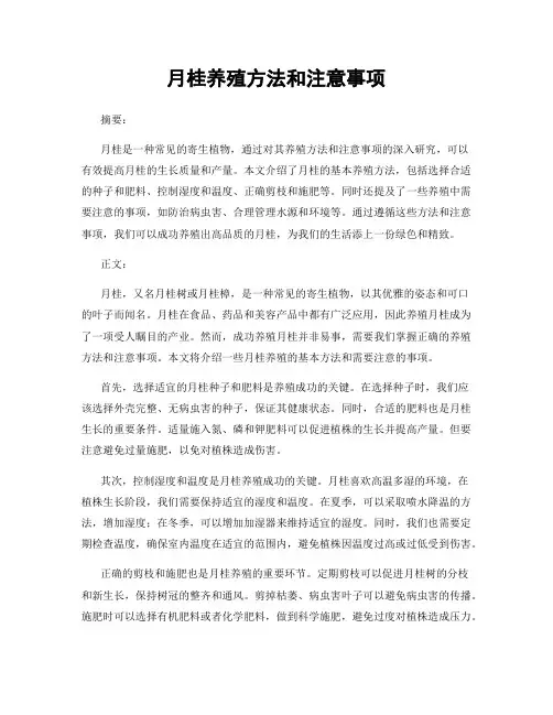 月桂养殖方法和注意事项