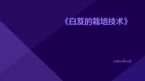 白芨的栽培技术
