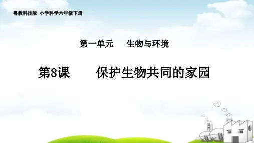 六年级下册科学优品课件第一单元《保护生物同的家园》粤教版
