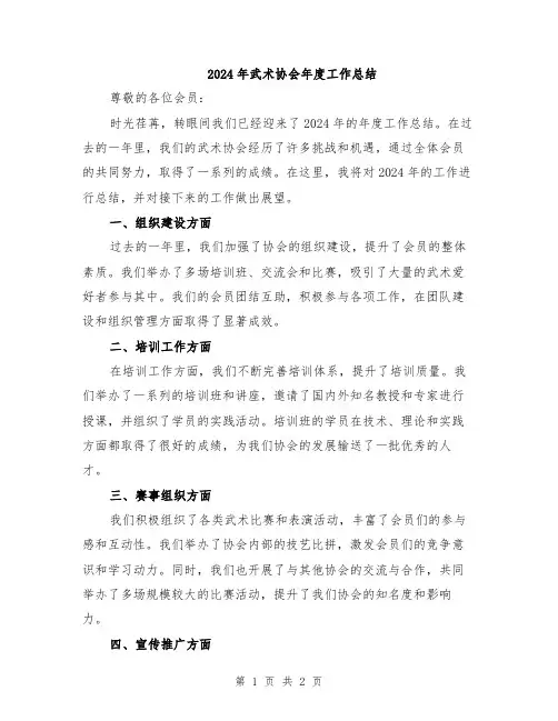2024年武术协会年度工作总结