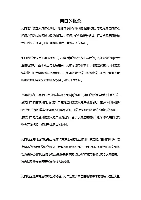 河口的概念
