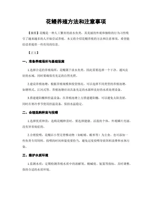 花鳗养殖方法和注意事项