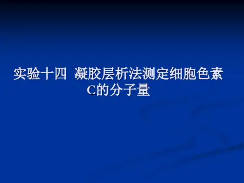实验十四  凝胶层析