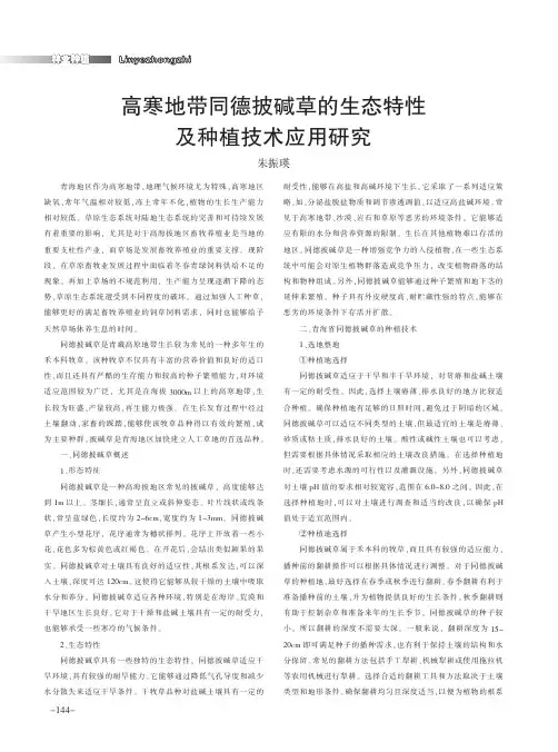高寒地带同德披碱草的生态特性及种植技术应用研究