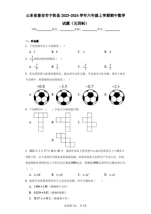 山东省泰安市宁阳县2023-2024学年六年级上学期期中数学试题(五四制)