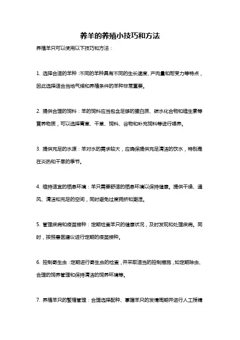 养羊的养殖小技巧和方法